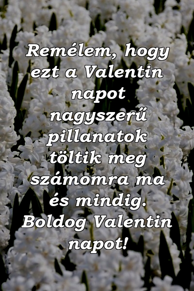 Remélem, hogy ezt a Valentin napot nagyszerű pillanatok töltik meg számomra ma és mindig. Boldog Valentin napot!