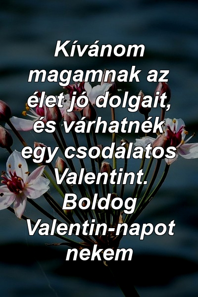 Kívánom magamnak az élet jó dolgait, és várhatnék egy csodálatos Valentint. Boldog Valentin-napot nekem