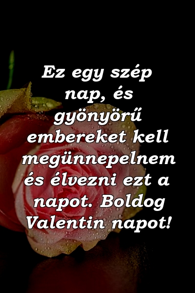 Ez egy szép nap, és gyönyörű embereket kell megünnepelnem és élvezni ezt a napot. Boldog Valentin napot!