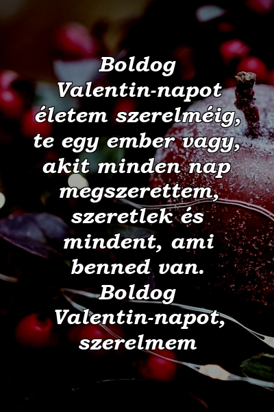 Boldog Valentin-napot életem szerelméig, te egy ember vagy, akit minden nap megszerettem, szeretlek és mindent, ami benned van. Boldog Valentin-napot, szerelmem