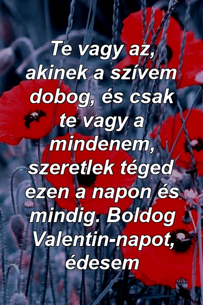 Te vagy az, akinek a szívem dobog, és csak te vagy a mindenem, szeretlek téged ezen a napon és mindig. Boldog Valentin-napot, édesem