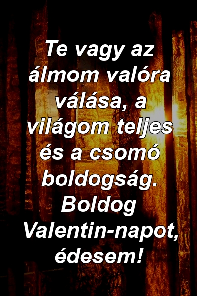 Te vagy az álmom valóra válása, a világom teljes és a csomó boldogság. Boldog Valentin-napot, édesem!