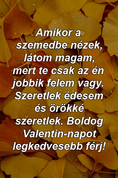 Amikor a szemedbe nézek, látom magam, mert te csak az én jobbik felem vagy. Szeretlek édesem és örökké szeretlek. Boldog Valentin-napot legkedvesebb férj!