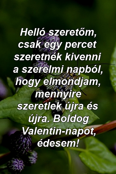 Helló szeretőm, csak egy percet szeretnék kivenni a szerelmi napból, hogy elmondjam, mennyire szeretlek újra és újra. Boldog Valentin-napot, édesem!