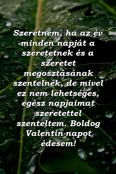 Szeretném, ha az év minden napját a szeretetnek és a szeretet megosztásának szentelnék, de mivel ez nem lehetséges, egész napjaimat szeretettel szenteltem. Boldog Valentin-napot édesem!