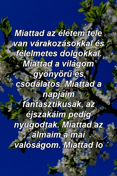 Miattad az életem tele van várakozásokkal és félelmetes dolgokkal. Miattad a világom gyönyörű és csodálatos. Miattad a napjaim fantasztikusak, az éjszakáim pedig nyugodtak. Miattad az álmaim a mai valóságom. Miattad lo