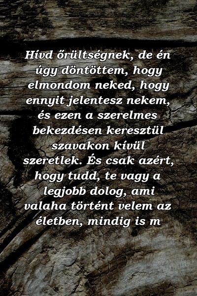 Hívd őrültségnek, de én úgy döntöttem, hogy elmondom neked, hogy ennyit jelentesz nekem, és ezen a szerelmes bekezdésen keresztül szavakon kívül szeretlek. És csak azért, hogy tudd, te vagy a legjobb dolog, ami valaha történt velem az életben, mindig is m