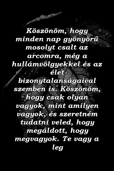 Köszönöm, hogy minden nap gyönyörű mosolyt csalt az arcomra, még a hullámvölgyekkel és az élet bizonytalanságaival szemben is. Köszönöm, hogy csak olyan vagyok, mint amilyen vagyok, és szeretném tudatni veled, hogy megáldott, hogy megvagyok. Te vagy a leg