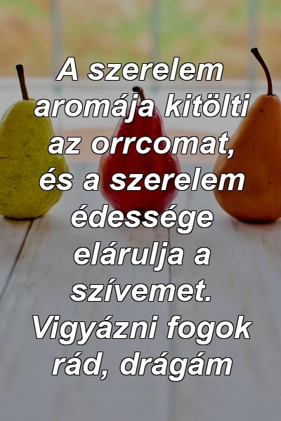 A szerelem aromája kitölti az orrcomat, és a szerelem édessége elárulja a szívemet. Vigyázni fogok rád, drágám