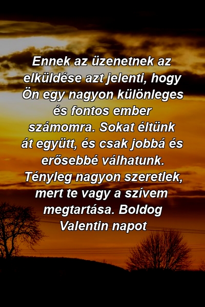 Ennek az üzenetnek az elküldése azt jelenti, hogy Ön egy nagyon különleges és fontos ember számomra. Sokat éltünk át együtt, és csak jobbá és erősebbé válhatunk. Tényleg nagyon szeretlek, mert te vagy a szívem megtartása. Boldog Valentin napot