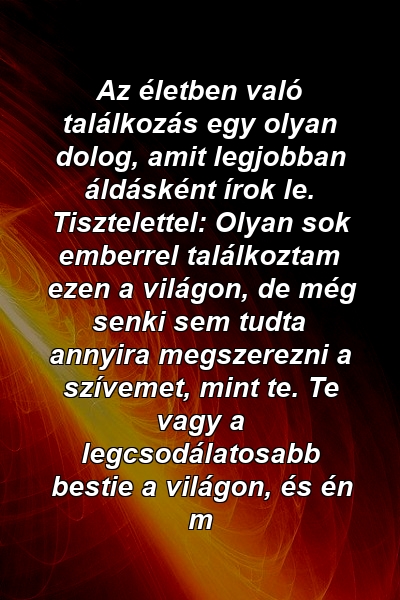 Az életben való találkozás egy olyan dolog, amit legjobban áldásként írok le. Tisztelettel: Olyan sok emberrel találkoztam ezen a világon, de még senki sem tudta annyira megszerezni a szívemet, mint te. Te vagy a legcsodálatosabb bestie a világon, és én m