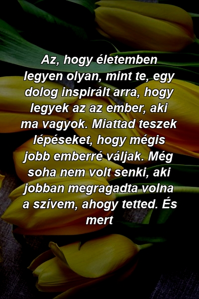 Az, hogy életemben legyen olyan, mint te, egy dolog inspirált arra, hogy legyek az az ember, aki ma vagyok. Miattad teszek lépéseket, hogy mégis jobb emberré váljak. Még soha nem volt senki, aki jobban megragadta volna a szívem, ahogy tetted. És mert