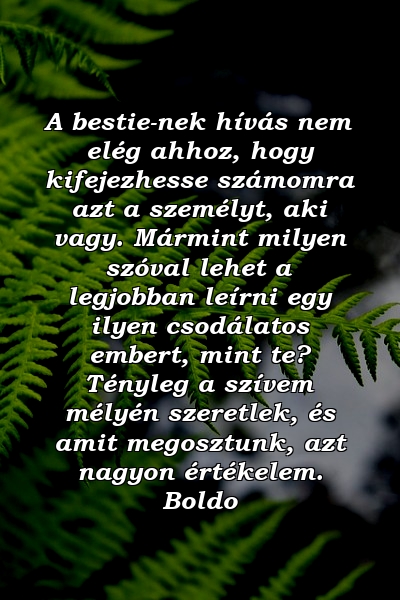 A bestie-nek hívás nem elég ahhoz, hogy kifejezhesse számomra azt a személyt, aki vagy. Mármint milyen szóval lehet a legjobban leírni egy ilyen csodálatos embert, mint te? Tényleg a szívem mélyén szeretlek, és amit megosztunk, azt nagyon értékelem. Boldo