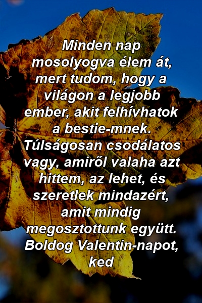 Minden nap mosolyogva élem át, mert tudom, hogy a világon a legjobb ember, akit felhívhatok a bestie-mnek. Túlságosan csodálatos vagy, amiről valaha azt hittem, az lehet, és szeretlek mindazért, amit mindig megosztottunk együtt. Boldog Valentin-napot, ked