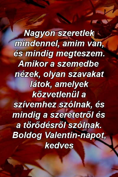 Nagyon szeretlek mindennel, amim van, és mindig megteszem. Amikor a szemedbe nézek, olyan szavakat látok, amelyek közvetlenül a szívemhez szólnak, és mindig a szeretetről és a törődésről szólnak. Boldog Valentin-napot, kedves