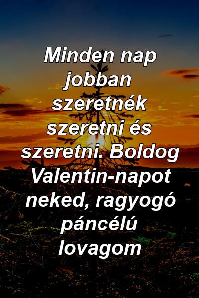 Minden nap jobban szeretnék szeretni és szeretni. Boldog Valentin-napot neked, ragyogó páncélú lovagom