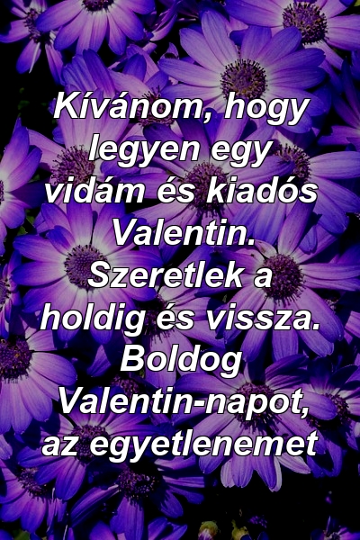 Kívánom, hogy legyen egy vidám és kiadós Valentin. Szeretlek a holdig és vissza. Boldog Valentin-napot, az egyetlenemet