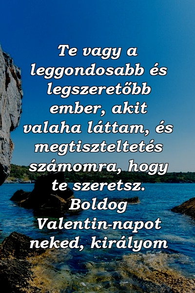 Te vagy a leggondosabb és legszeretőbb ember, akit valaha láttam, és megtiszteltetés számomra, hogy te szeretsz. Boldog Valentin-napot neked, királyom