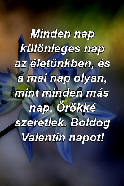 Minden nap különleges nap az életünkben, és a mai nap olyan, mint minden más nap. Örökké szeretlek. Boldog Valentin napot!