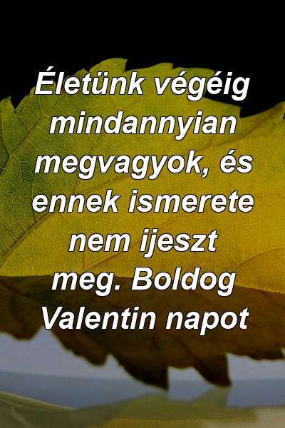 Életünk végéig mindannyian megvagyok, és ennek ismerete nem ijeszt meg. Boldog Valentin napot