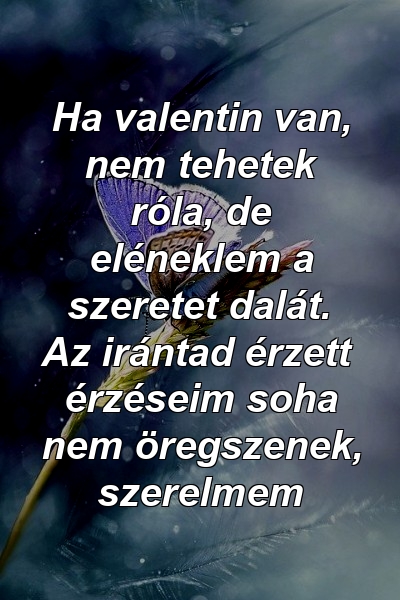 Ha valentin van, nem tehetek róla, de eléneklem a szeretet dalát. Az irántad érzett érzéseim soha nem öregszenek, szerelmem