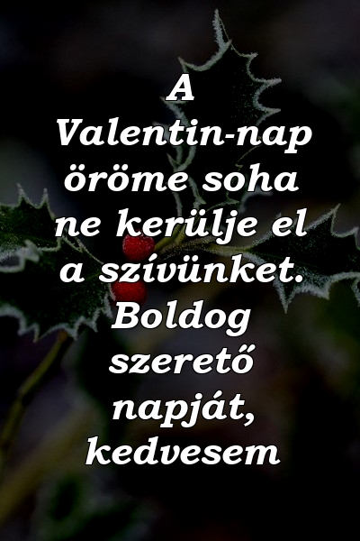 A Valentin-nap öröme soha ne kerülje el a szívünket. Boldog szerető napját, kedvesem