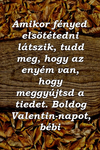 Amikor fényed elsötétedni látszik, tudd meg, hogy az enyém van, hogy meggyújtsd a tiedet. Boldog Valentin-napot, bébi