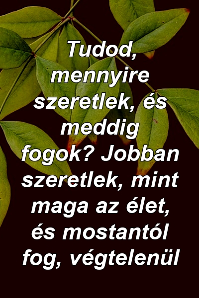 Tudod, mennyire szeretlek, és meddig fogok? Jobban szeretlek, mint maga az élet, és mostantól fog, végtelenül