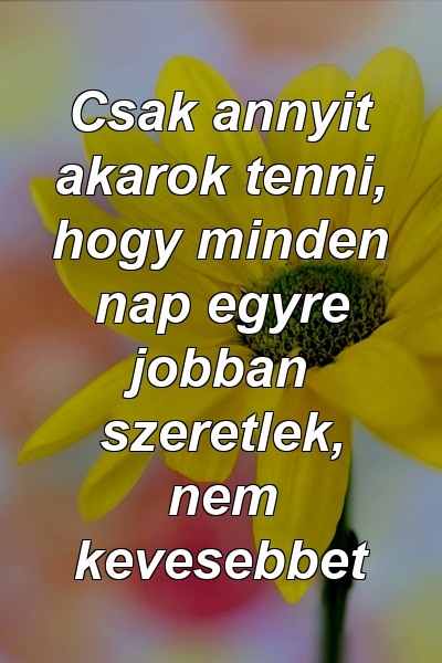 Csak annyit akarok tenni, hogy minden nap egyre jobban szeretlek, nem kevesebbet