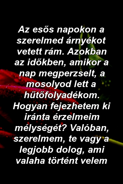 Az esős napokon a szerelmed árnyékot vetett rám. Azokban az időkben, amikor a nap megperzselt, a mosolyod lett a hűtőfolyadékom. Hogyan fejezhetem ki iránta érzelmeim mélységét? Valóban, szerelmem, te vagy a legjobb dolog, ami valaha történt velem