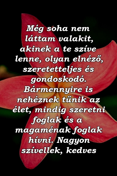 Még soha nem láttam valakit, akinek a te szíve lenne, olyan elnéző, szeretetteljes és gondoskodó. Bármennyire is nehéznek tűnik az élet, mindig szeretni foglak és a magaménak foglak hívni. Nagyon szívellek, kedves