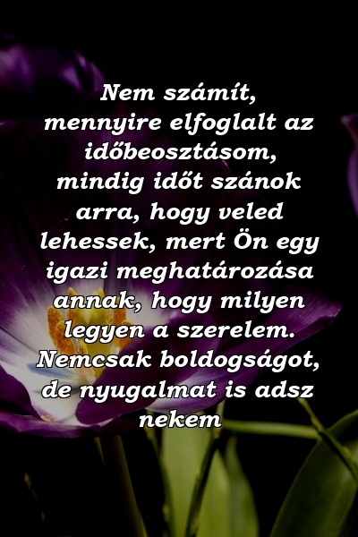 Nem számít, mennyire elfoglalt az időbeosztásom, mindig időt szánok arra, hogy veled lehessek, mert Ön egy igazi meghatározása annak, hogy milyen legyen a szerelem. Nemcsak boldogságot, de nyugalmat is adsz nekem