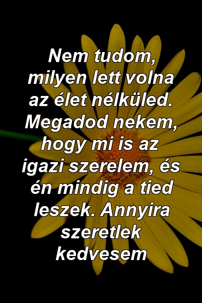 Nem tudom, milyen lett volna az élet nélküled. Megadod nekem, hogy mi is az igazi szerelem, és én mindig a tied leszek. Annyira szeretlek kedvesem