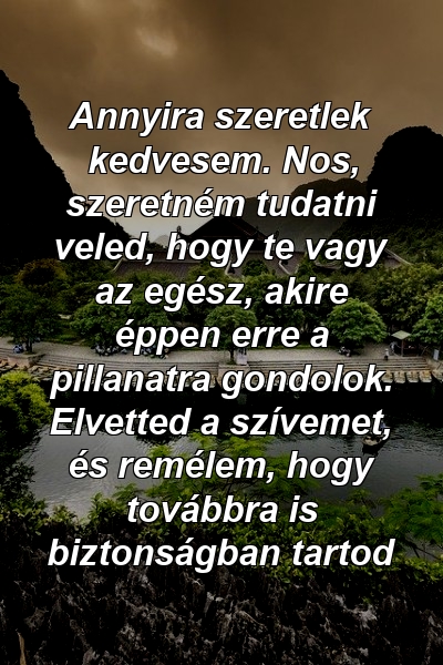 Annyira szeretlek kedvesem. Nos, szeretném tudatni veled, hogy te vagy az egész, akire éppen erre a pillanatra gondolok. Elvetted a szívemet, és remélem, hogy továbbra is biztonságban tartod