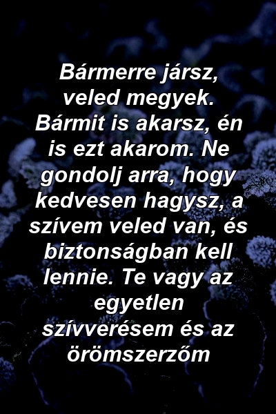 Bármerre jársz, veled megyek. Bármit is akarsz, én is ezt akarom. Ne gondolj arra, hogy kedvesen hagysz, a szívem veled van, és biztonságban kell lennie. Te vagy az egyetlen szívverésem és az örömszerzőm