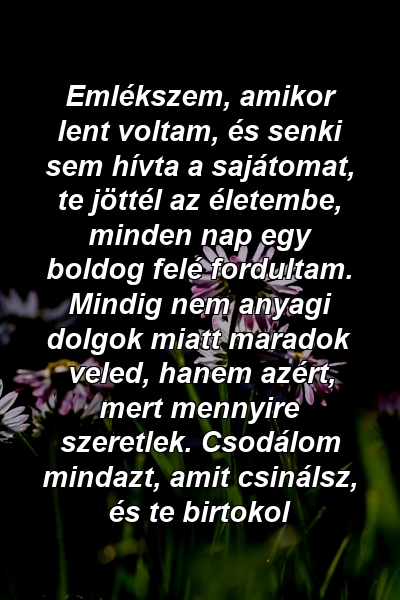 Emlékszem, amikor lent voltam, és senki sem hívta a sajátomat, te jöttél az életembe, minden nap egy boldog felé fordultam. Mindig nem anyagi dolgok miatt maradok veled, hanem azért, mert mennyire szeretlek. Csodálom mindazt, amit csinálsz, és te birtokol