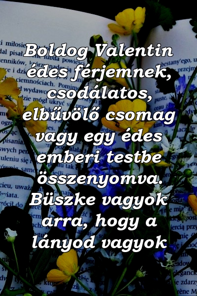 Boldog Valentin édes férjemnek, csodálatos, elbűvölő csomag vagy egy édes emberi testbe összenyomva. Büszke vagyok arra, hogy a lányod vagyok