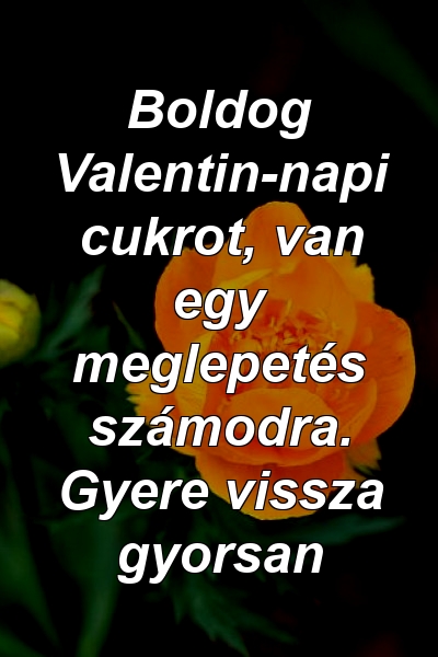 Boldog Valentin-napi cukrot, van egy meglepetés számodra. Gyere vissza gyorsan