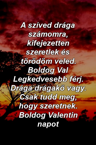 A szíved drága számomra, kifejezetten szeretlek és törődöm veled. Boldog Val Legkedvesebb férj. Drága drágakő vagy. Csak tudd meg, hogy szeretnek. Boldog Valentin napot