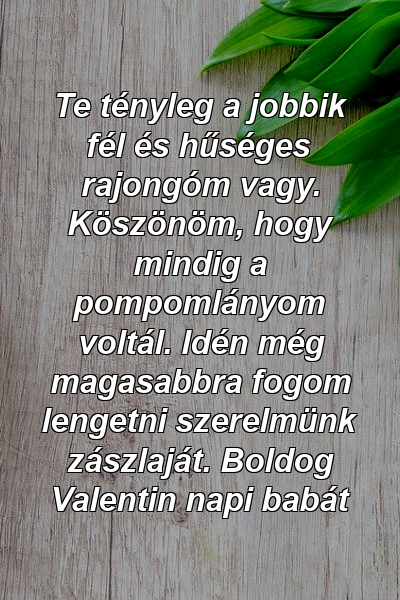 Te tényleg a jobbik fél és hűséges rajongóm vagy. Köszönöm, hogy mindig a pompomlányom voltál. Idén még magasabbra fogom lengetni szerelmünk zászlaját. Boldog Valentin napi babát