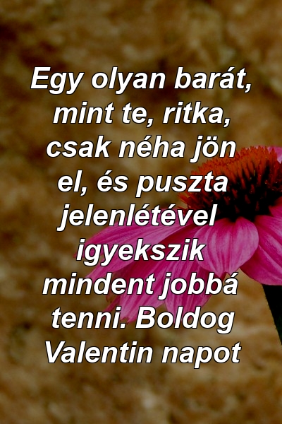 Egy olyan barát, mint te, ritka, csak néha jön el, és puszta jelenlétével igyekszik mindent jobbá tenni. Boldog Valentin napot