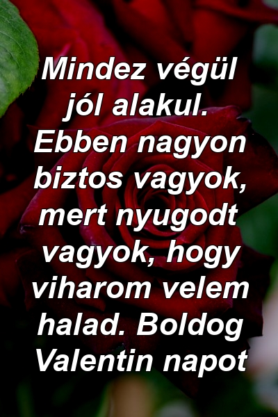 Mindez végül jól alakul. Ebben nagyon biztos vagyok, mert nyugodt vagyok, hogy viharom velem halad. Boldog Valentin napot