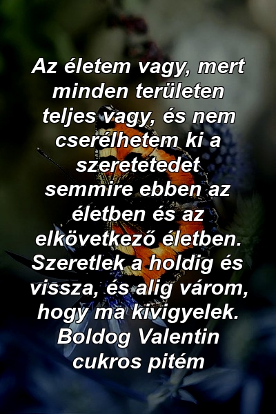 Az életem vagy, mert minden területen teljes vagy, és nem cserélhetem ki a szeretetedet semmire ebben az életben és az elkövetkező életben. Szeretlek a holdig és vissza, és alig várom, hogy ma kivigyelek. Boldog Valentin cukros pitém