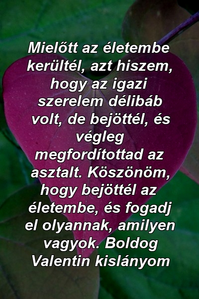 Mielőtt az életembe kerültél, azt hiszem, hogy az igazi szerelem délibáb volt, de bejöttél, és végleg megfordítottad az asztalt. Köszönöm, hogy bejöttél az életembe, és fogadj el olyannak, amilyen vagyok. Boldog Valentin kislányom