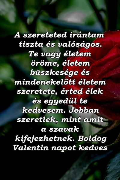 A szereteted irántam tiszta és valóságos. Te vagy életem öröme, életem büszkesége és mindenekelőtt életem szeretete, érted élek és egyedül te kedvesem. Jobban szeretlek, mint amit a szavak kifejezhetnek. Boldog Valentin napot kedves