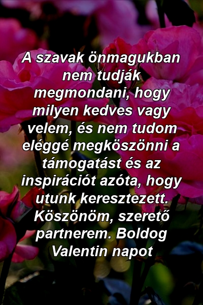 A szavak önmagukban nem tudják megmondani, hogy milyen kedves vagy velem, és nem tudom eléggé megköszönni a támogatást és az inspirációt azóta, hogy utunk keresztezett. Köszönöm, szerető partnerem. Boldog Valentin napot