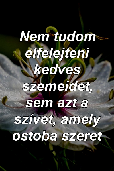 Nem tudom elfelejteni kedves szemeidet, sem azt a szívet, amely ostoba szeret