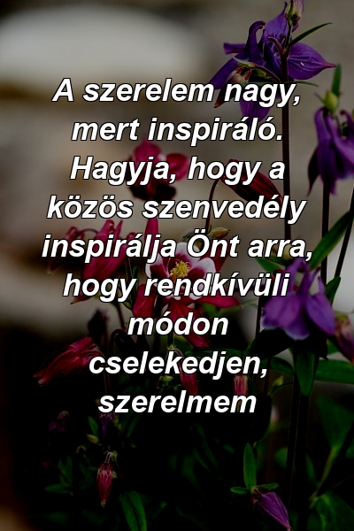 A szerelem nagy, mert inspiráló. Hagyja, hogy a közös szenvedély inspirálja Önt arra, hogy rendkívüli módon cselekedjen, szerelmem