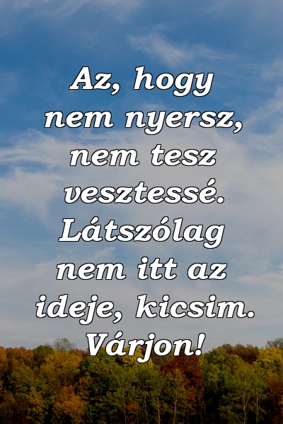 Az, hogy nem nyersz, nem tesz vesztessé. Látszólag nem itt az ideje, kicsim. Várjon!