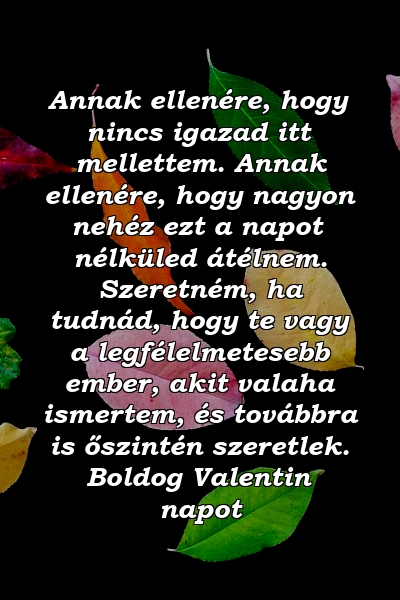 Annak ellenére, hogy nincs igazad itt mellettem. Annak ellenére, hogy nagyon nehéz ezt a napot nélküled átélnem. Szeretném, ha tudnád, hogy te vagy a legfélelmetesebb ember, akit valaha ismertem, és továbbra is őszintén szeretlek. Boldog Valentin napot